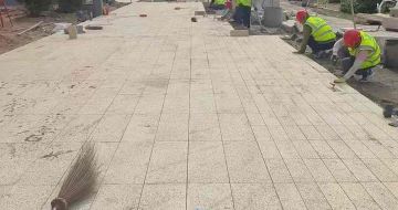 三明黄金麻荔枝面地铺案例