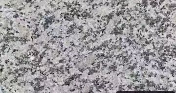 三明 芙蓉白（芝麻白大花）火烧面