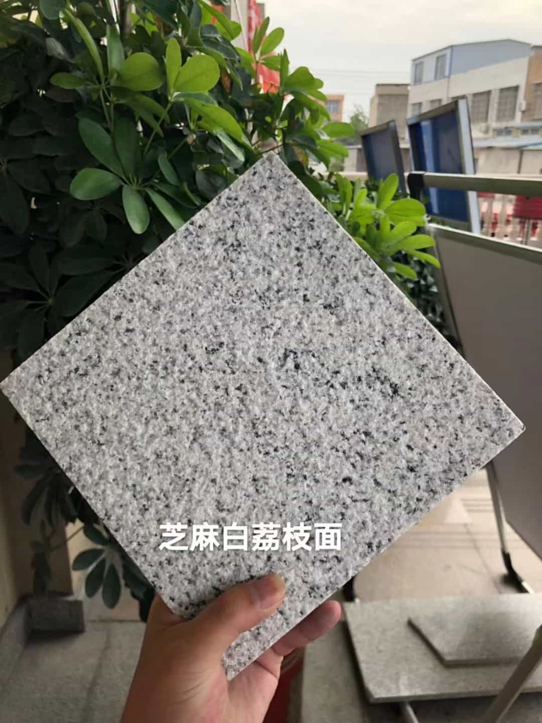 三明 芝麻白荔枝面干挂