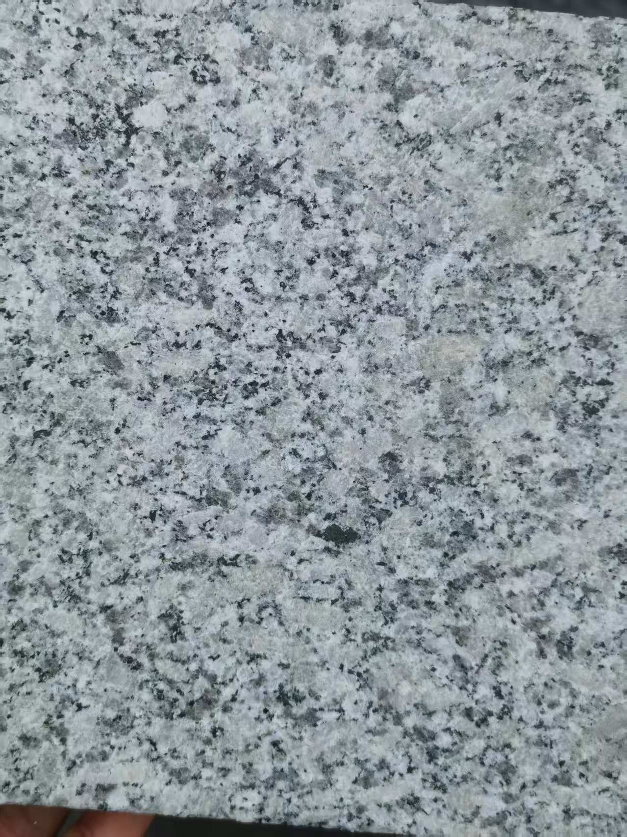 三明 芙蓉白火烧面
