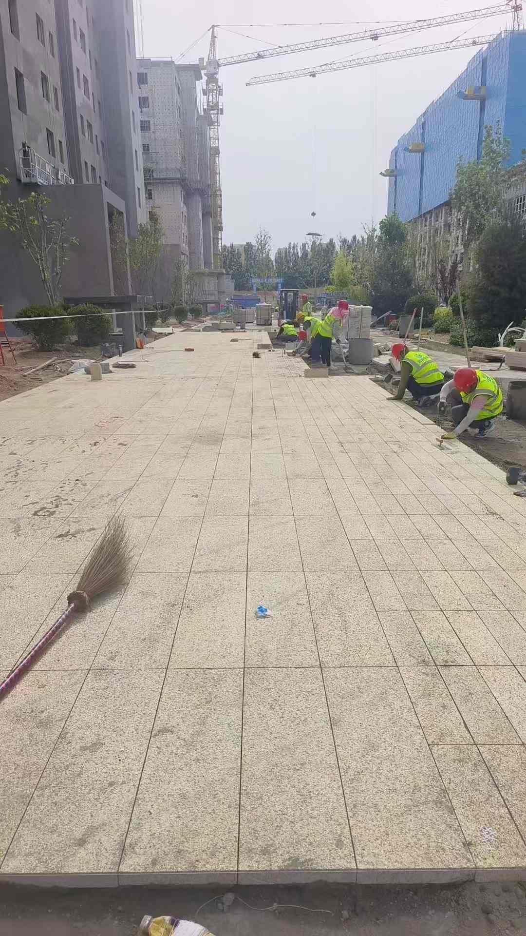 三明黄金麻荔枝面地铺案例